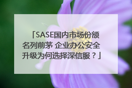SASE国内市场份额名列前茅 企业办公安全升级为何选择深信服？